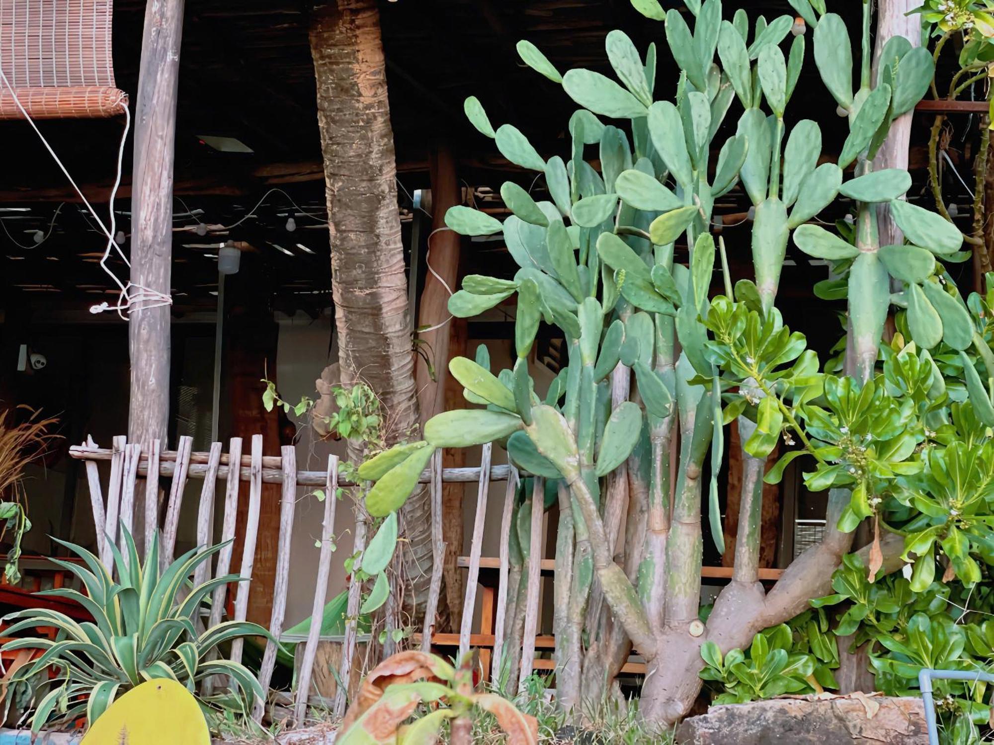 Soho 1 Phu Quoc Apartment Exterior photo